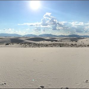 Meet your Posher, Noah